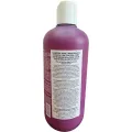 Шампунь для пофарбованих з екстрактом сливи Rated Green Real Prune Color Protecting Shampoo