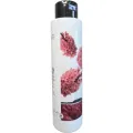Кондиціонер для кучерявого волосся Nouvelle Curl Me Up Evolve Conditioner