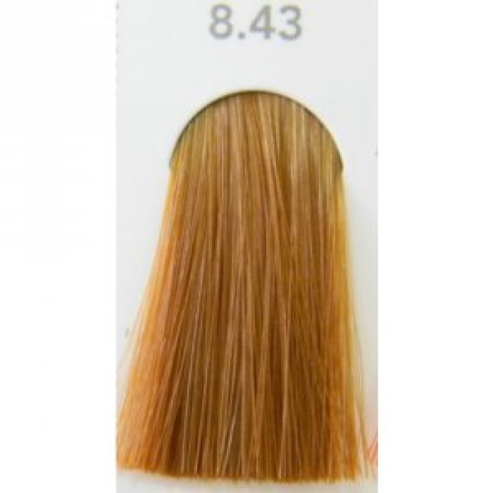 Палитра краски для волос Indola Permanent Caring Color