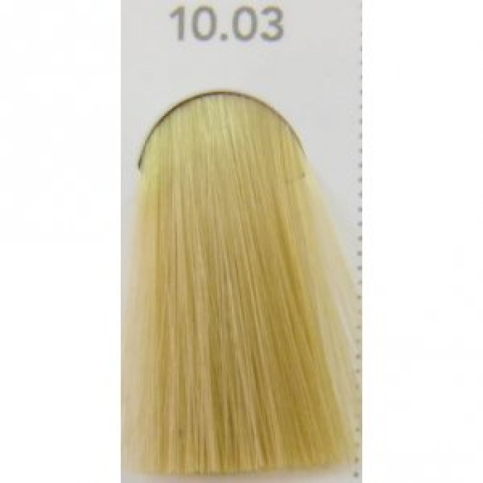 Палитра краски для волос Indola Permanent Caring Color